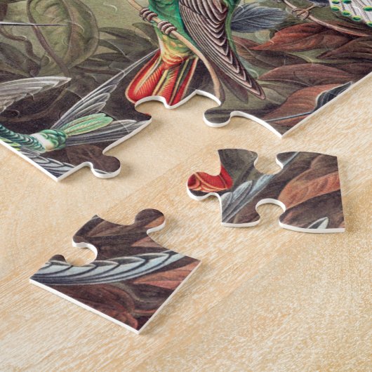 Puzzle Colibri, Trochilidae Kolibris par Ernst Haeckel (Côté)