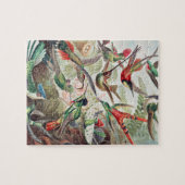 Puzzle Colibri, Trochilidae Kolibris par Ernst Haeckel (Horizontal)
