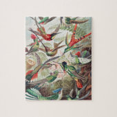 Puzzle Colibri, Trochilidae Kolibris par Ernst Haeckel (Vertical)