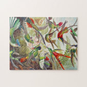 Puzzle Colibri vintage par Ernst Haeckel (Horizontal)