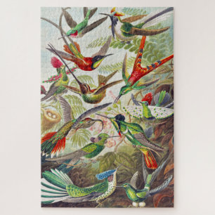 Puzzle Colibri vintage par Ernst Haeckel