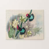 Puzzle Colibri vintage par John Gould (Horizontal)