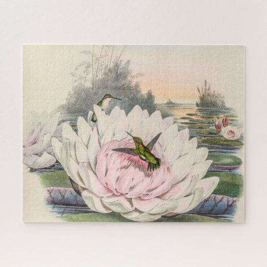 Puzzle Colibri vintage par John Gould (Horizontal)