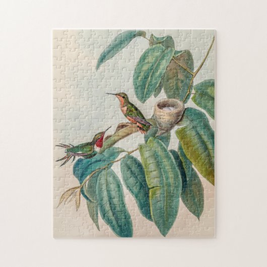 Puzzle Colibri vintage par John Gould (Vertical)