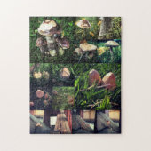 Puzzle Collage de champignon (Vertical)