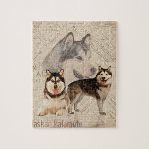 Puzzle Collage de Malamute d'Alaska sur le motif de mot