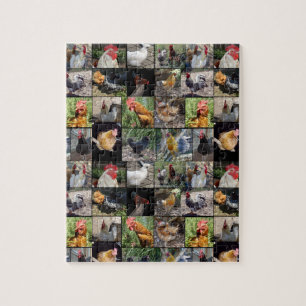 Puzzle Collage De Photos De Poulets Et De Coqs,