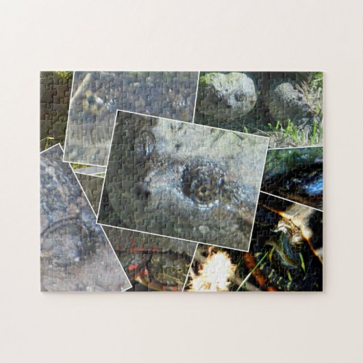 Puzzle Collage de tortue (Horizontal)