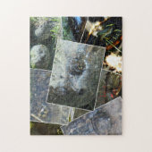 Puzzle Collage de tortue (Vertical)
