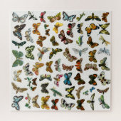 Puzzle Collage papillon, papillon et chenille Jigsaw Puz (Horizontal)