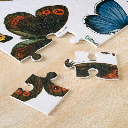 Puzzle Collage papillon - une multitude de papillons et d (Côté)