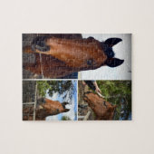 Puzzle Collage photo de chevaux Brown, (Horizontal)