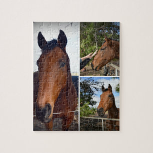 Puzzle Collage photo de chevaux Brown,