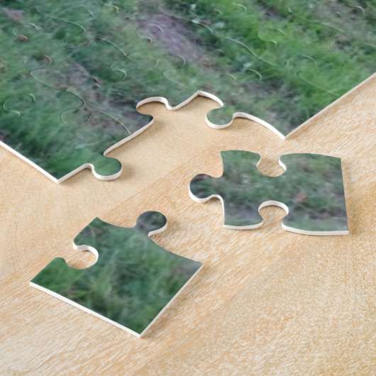 Puzzle Collage Puzzle: Cat in Action (Côté)