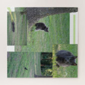 Puzzle Collage Puzzle: Cat in Action (Horizontal)