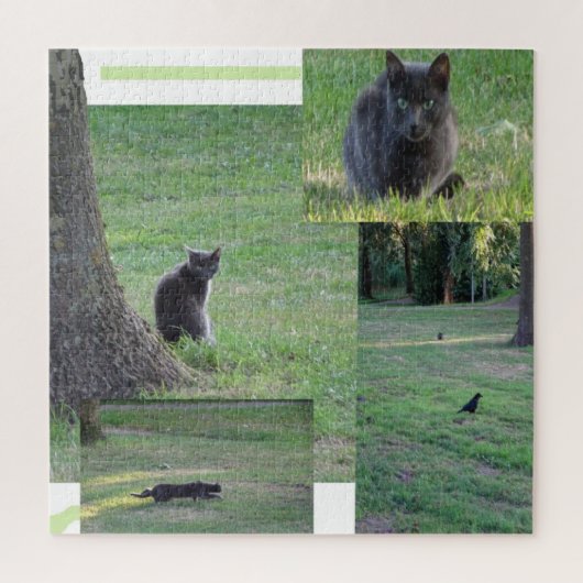 Puzzle Collage Puzzle: Cat in Action (Vertical)