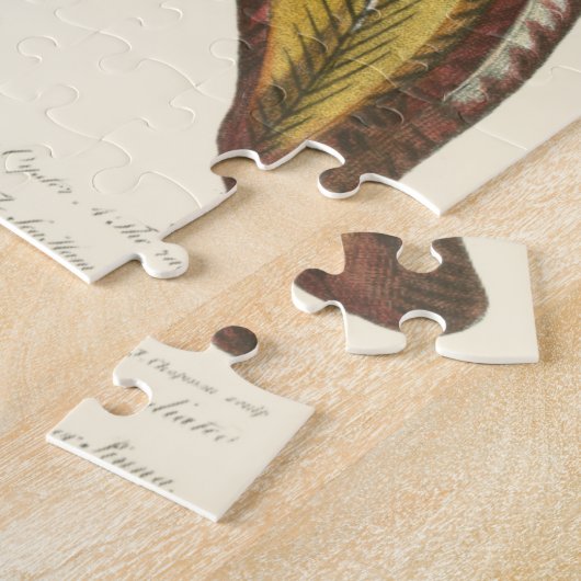 Puzzle Collection Conchology (Côté)