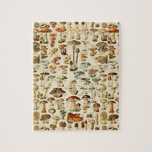 Puzzle Collection de champignons (Vertical)