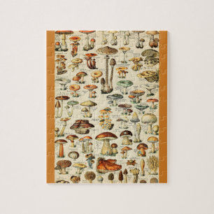 Puzzle Collection de champignons