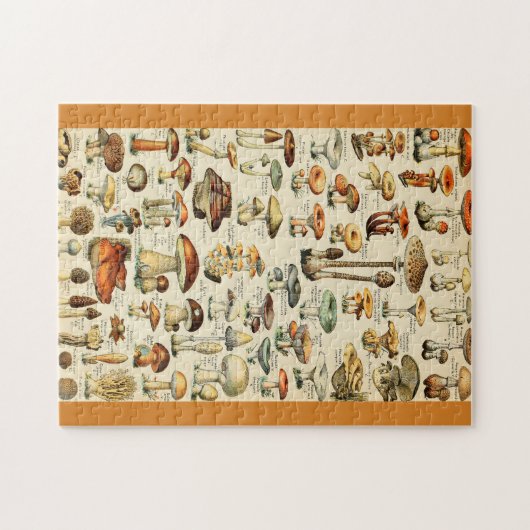 Puzzle Collection de champignons (Horizontal)
