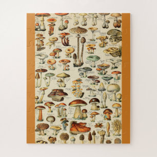 Puzzle Collection de champignons