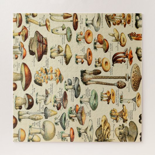 Puzzle Collection de champignons (Horizontal)