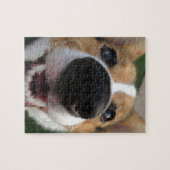 Puzzle Collection de nez de chien de corgi de Gallois (Horizontal)