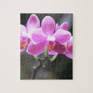 Puzzle Collection florale