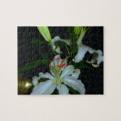Puzzle Collection Irlandaise de laiton et de fleurs (Horizontal)