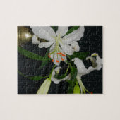 Puzzle Collection Irlandaise de laiton et de fleurs (Horizontal)