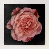 Puzzle Collection Rose Élégante sur Fond Noir (Horizontal)