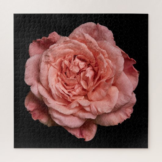 Puzzle Collection Rose Élégante sur Fond Noir (Vertical)