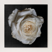 Puzzle Collection Rose Élégante sur Fond Noir (Horizontal)
