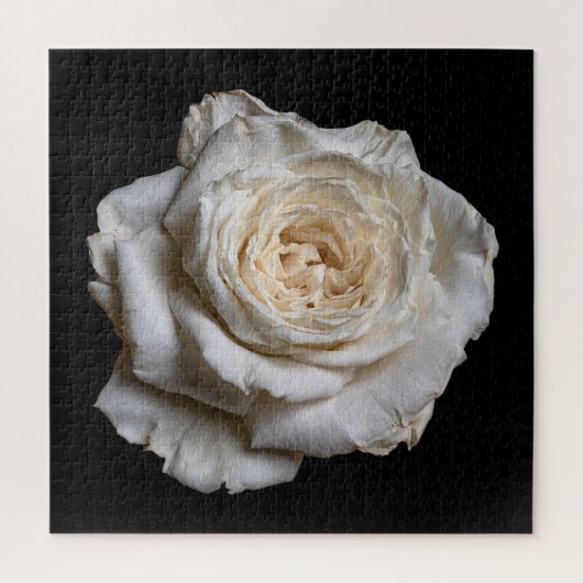 Puzzle Collection Rose Élégante sur Fond Noir (Vertical)