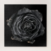 Puzzle Collection Rose Élégante sur Fond Noir (Horizontal)