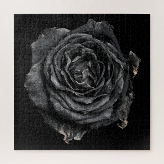 Puzzle Collection Rose Élégante sur Fond Noir (Vertical)