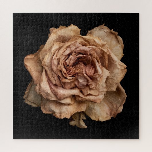 Puzzle Collection Rose Élégante sur Fond Noir (Vertical)