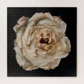 Puzzle Collection Rose Élégante sur Fond Noir (Horizontal)