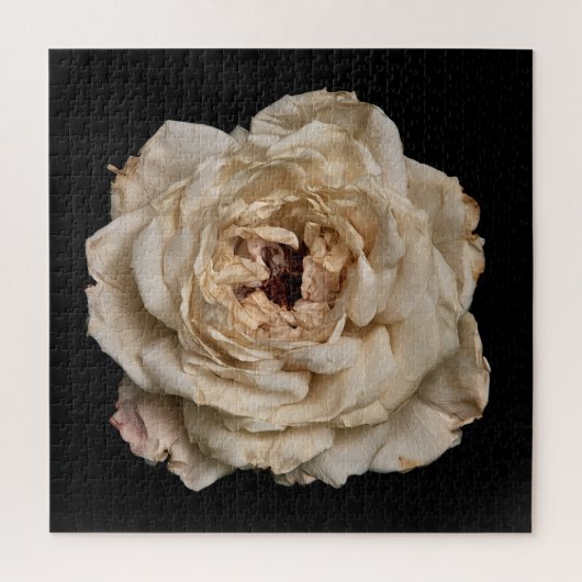 Puzzle Collection Rose Élégante sur Fond Noir (Vertical)