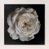 Puzzle Collection Rose Élégante sur Fond Noir (Horizontal)