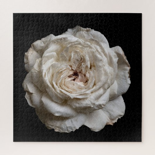 Puzzle Collection Rose Élégante sur Fond Noir (Vertical)