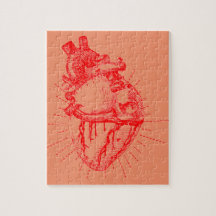 Collection rouge et blanche de coeur anatomique