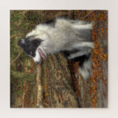 Puzzle Collie dans la forêt 676 pièces (Vertical)