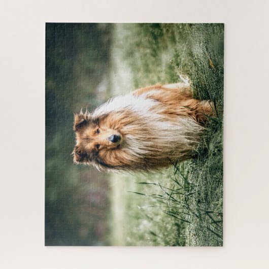 Puzzle Collie dans le Comté de Rough (Vertical)