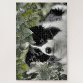 Puzzle Collie de Border Woodland 1014 pièces (Vertical)