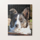 PUZZLE COLLIE FRONTALIÈRE (Vertical)