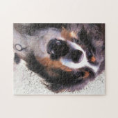 PUZZLE COLLIE FRONTALIÈRE (Horizontal)