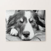 PUZZLE COLLIE FRONTALIÈRE (Horizontal)