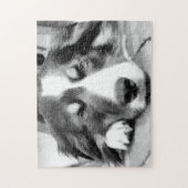 PUZZLE COLLIE FRONTALIÈRE (Vertical)