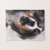 PUZZLE COLLIE FRONTALIÈRE (Horizontal)